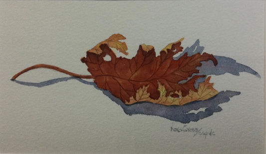 Maple Leaf Forever (8 X 10)