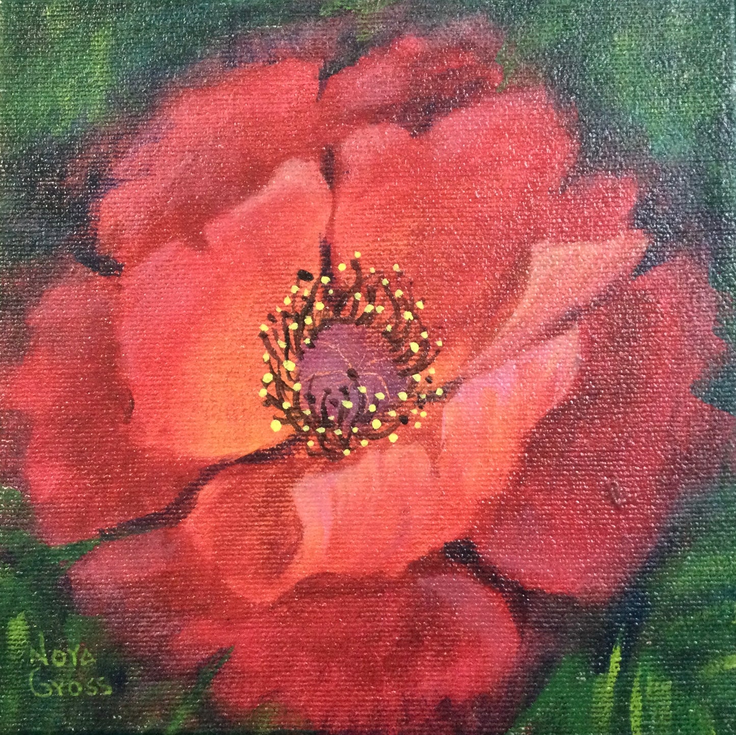 Single Poppy (6 X 6)