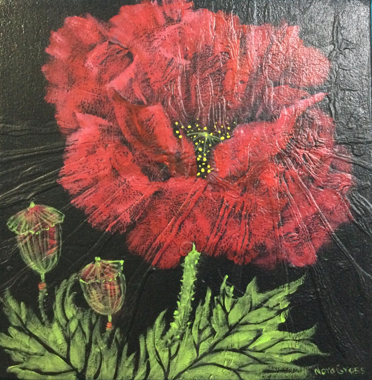 Arctic Poppy (10 X 10)